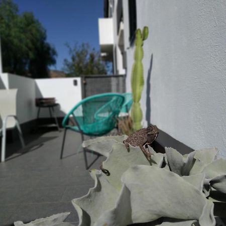 Piedranegra, Apartamento Completo Con Patio, Terraza Y Bbq Rodalquilar Dış mekan fotoğraf