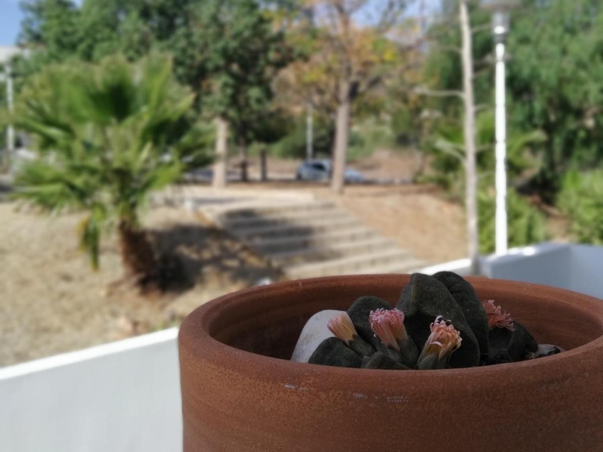 Piedranegra, Apartamento Completo Con Patio, Terraza Y Bbq Rodalquilar Dış mekan fotoğraf