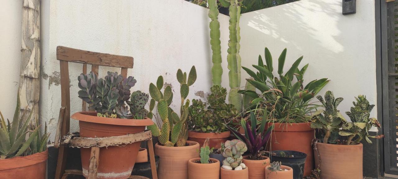 Piedranegra, Apartamento Completo Con Patio, Terraza Y Bbq Rodalquilar Dış mekan fotoğraf